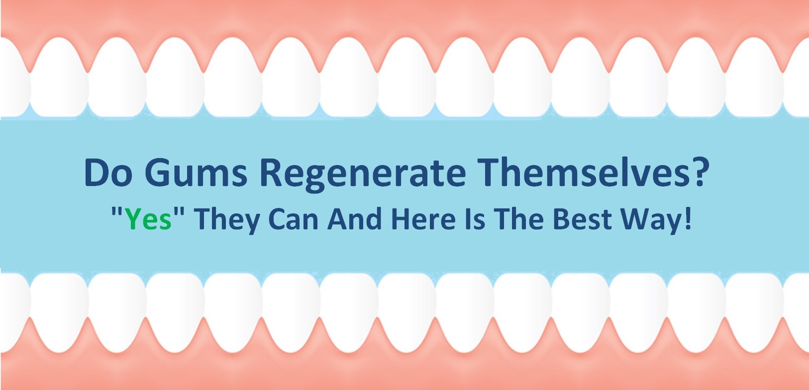 Regenerate Gums Naturally At Home Wellness Workers